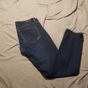 Express Stella Skinny Low Rise Jean